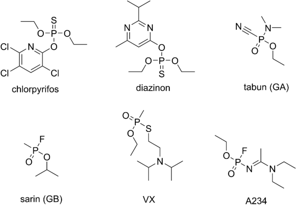 Non-oxime reactivators of organophosphate-inhibited cholinesterases