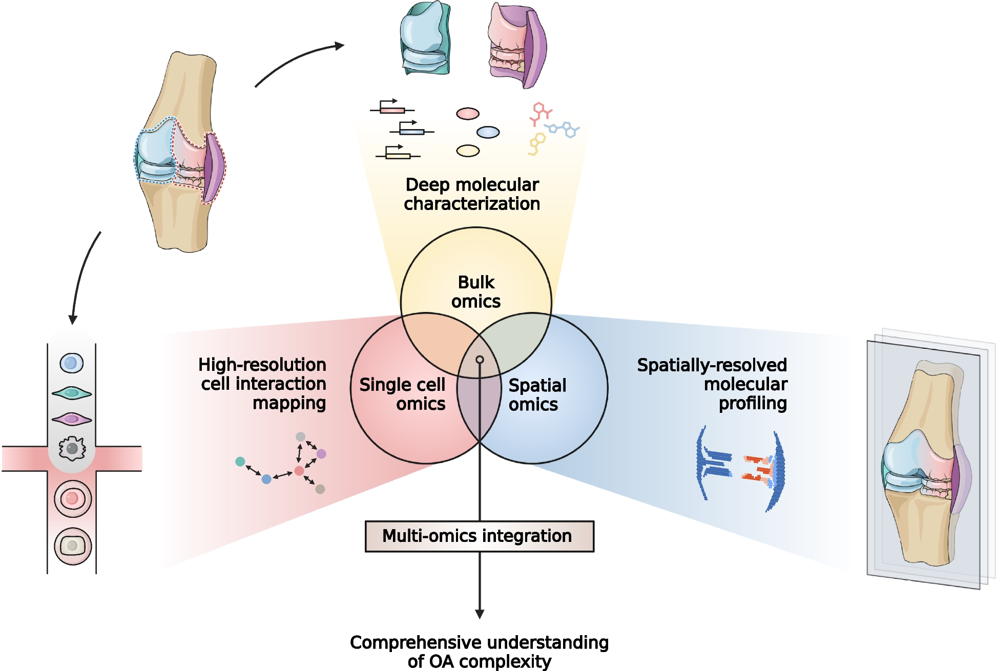 Recent advances in omics and the integration of multi-omics in osteoarthritis research