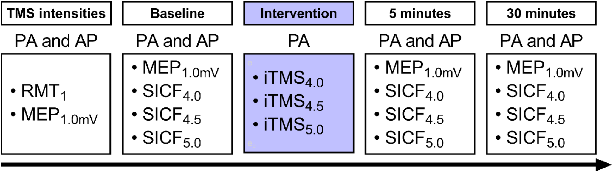 Neuromodulation by repetitive paired-pulse TMS at late I-wave intervals in older adults
