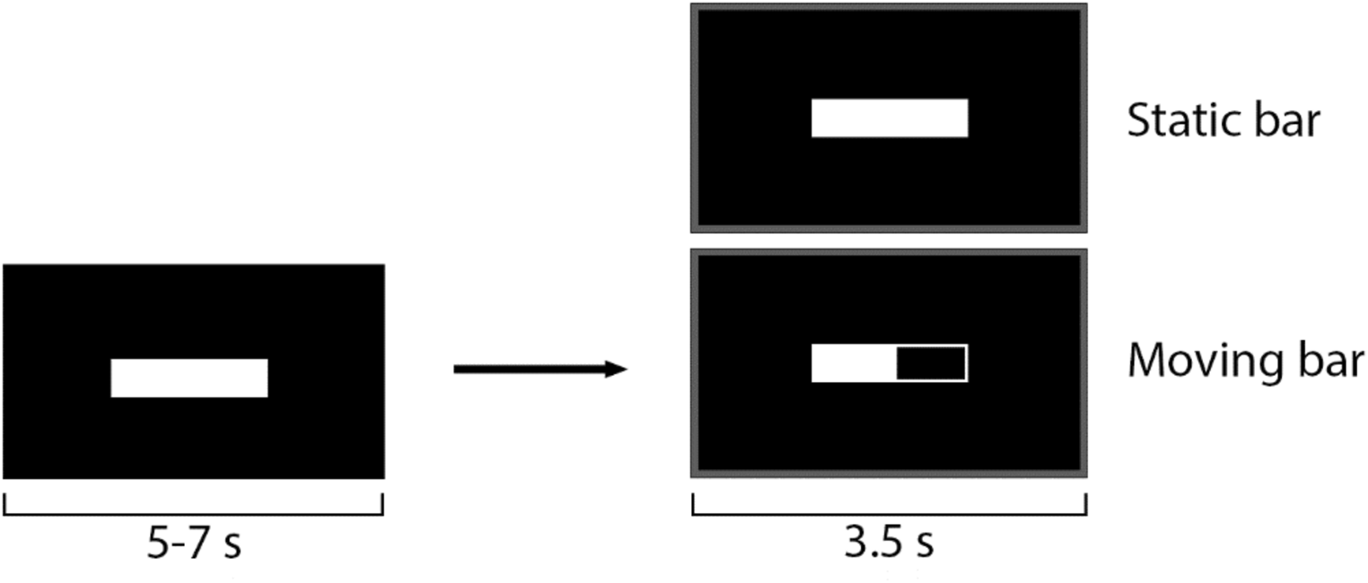 Predictable transcranial magnetic stimulation suppresses corticospinal excitability: a TMS experiment