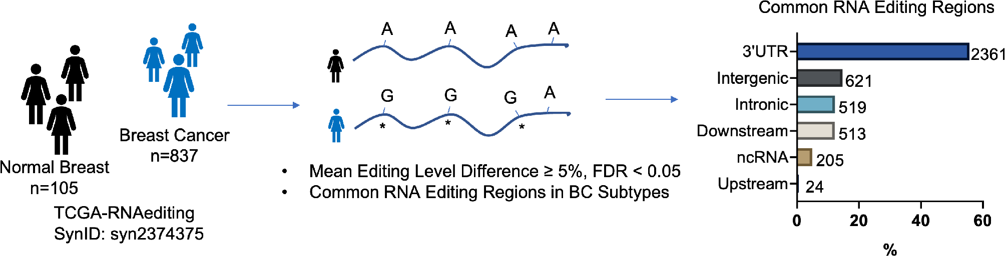 3’UTR RNA editing driven by ADAR1 modulates MDM2 expression in breast cancer cells