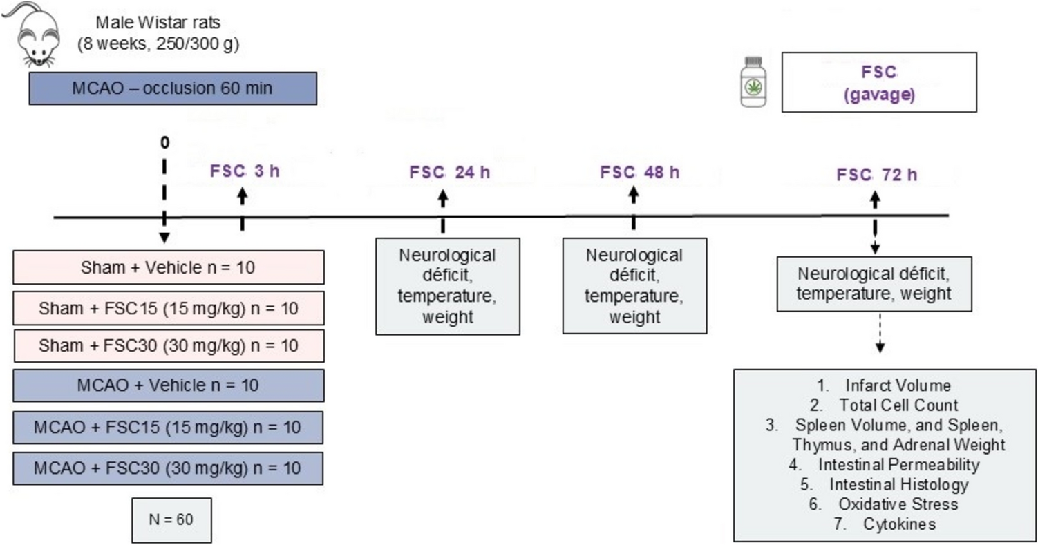 Full-spectrum  extract enhances gut-peripheral organ integrity after experimental ischemic stroke