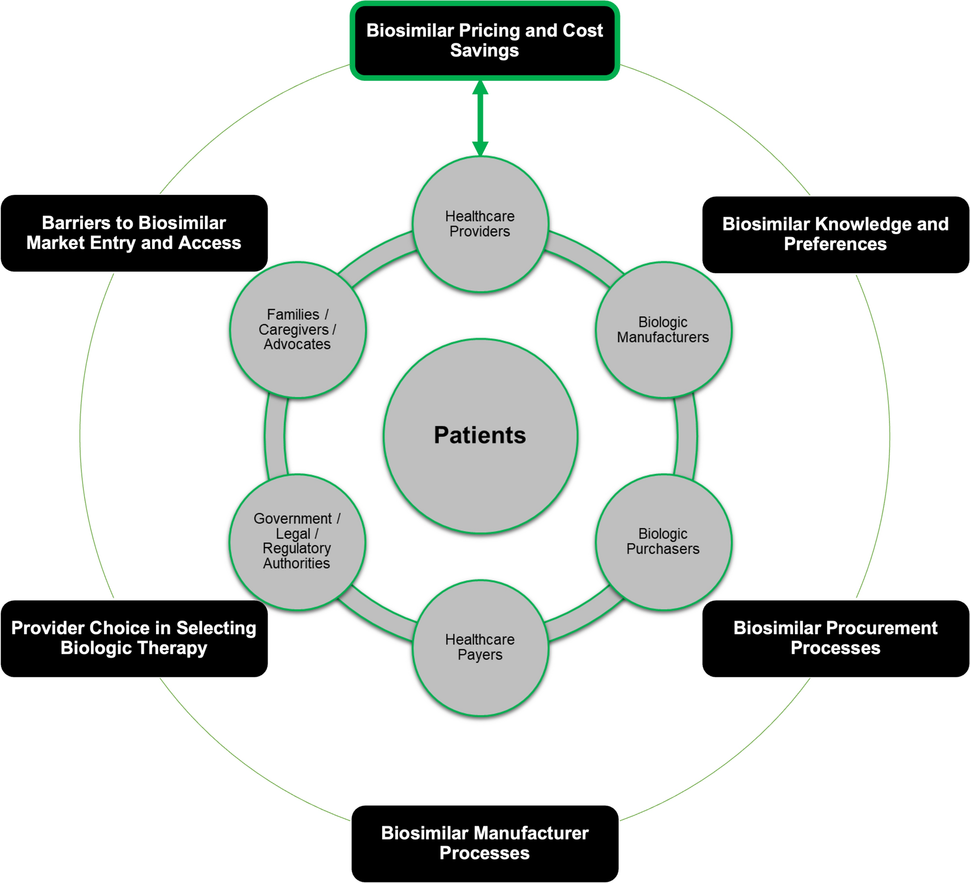Defining a Framework for Sustainable Global Biosimilars Markets Using Findings from a Targeted Literature Review