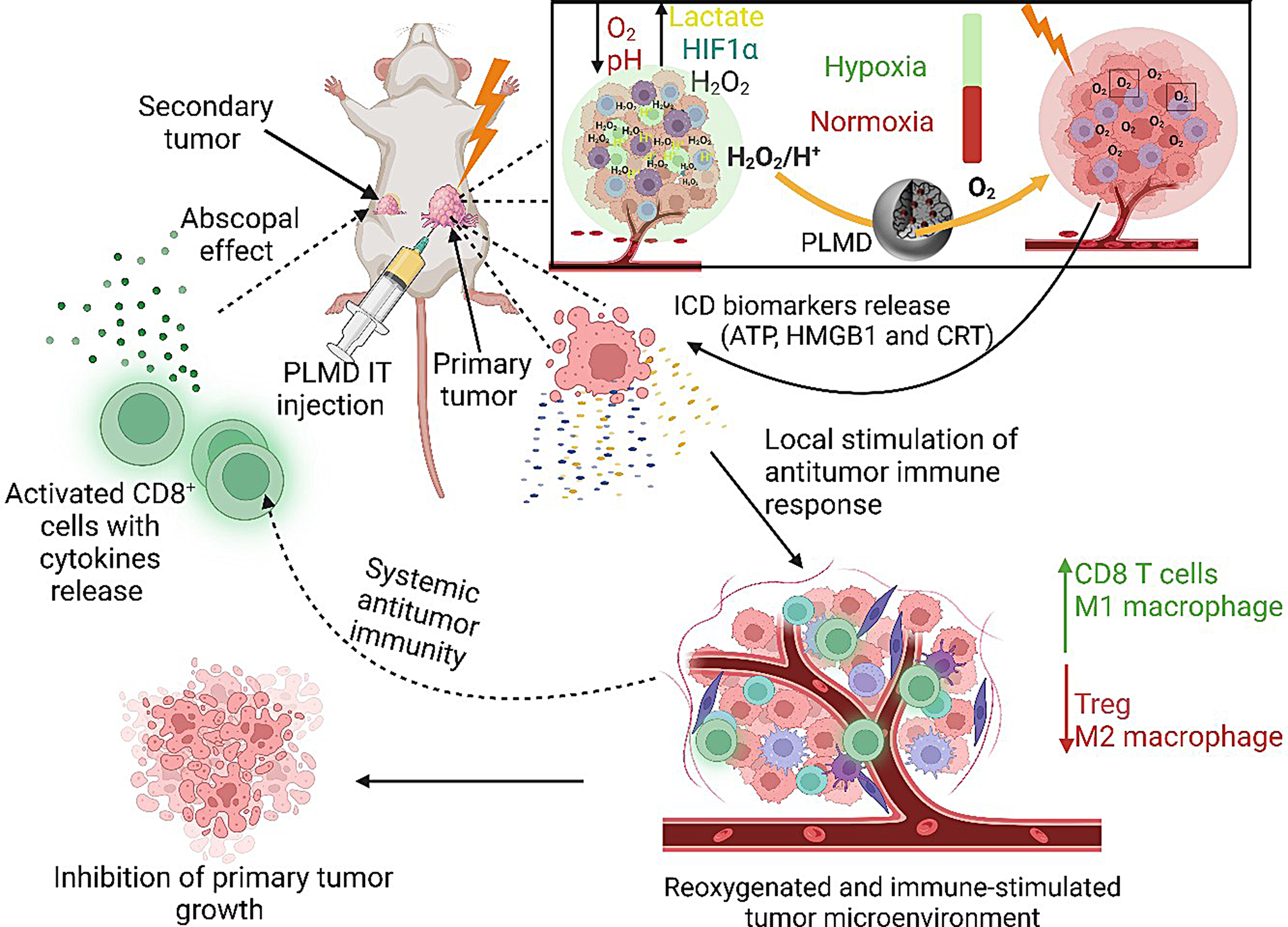 Mitigating radioresistance mechanisms by polymer-lipid manganese dioxide nanoparticles enhances immunogenic cell death and antitumor immune response to facilitate abscopal effect in breast tumor models