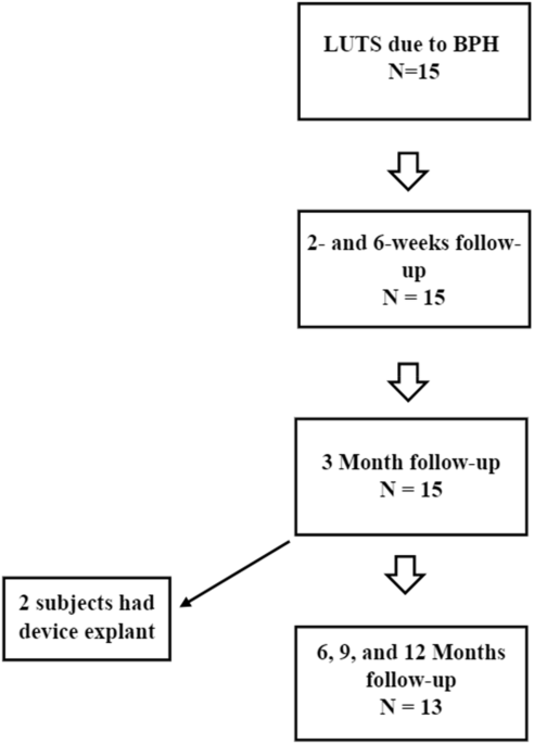 Feasibility and safety study of the Flostent™ system (RAPID-I)