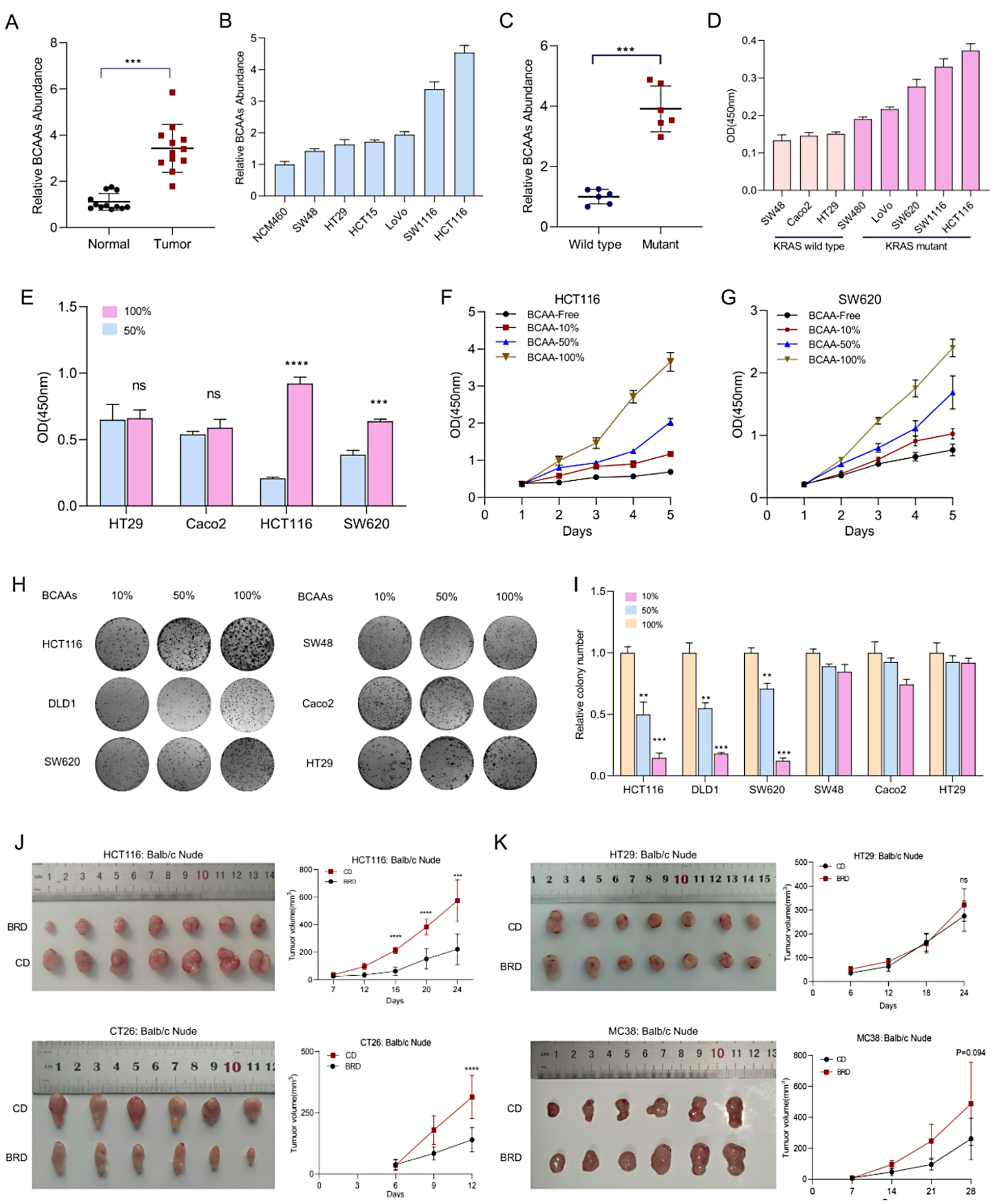 Acetylation-induced degradation of ECHS1 enhances BCAA accumulation and proliferation in KRAS-mutant colorectal cancer