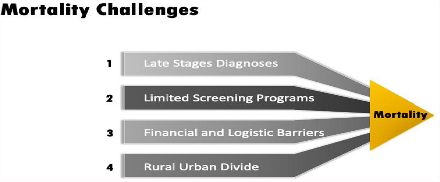 Cancer Burden, Mortality, and Survivorship Care in India