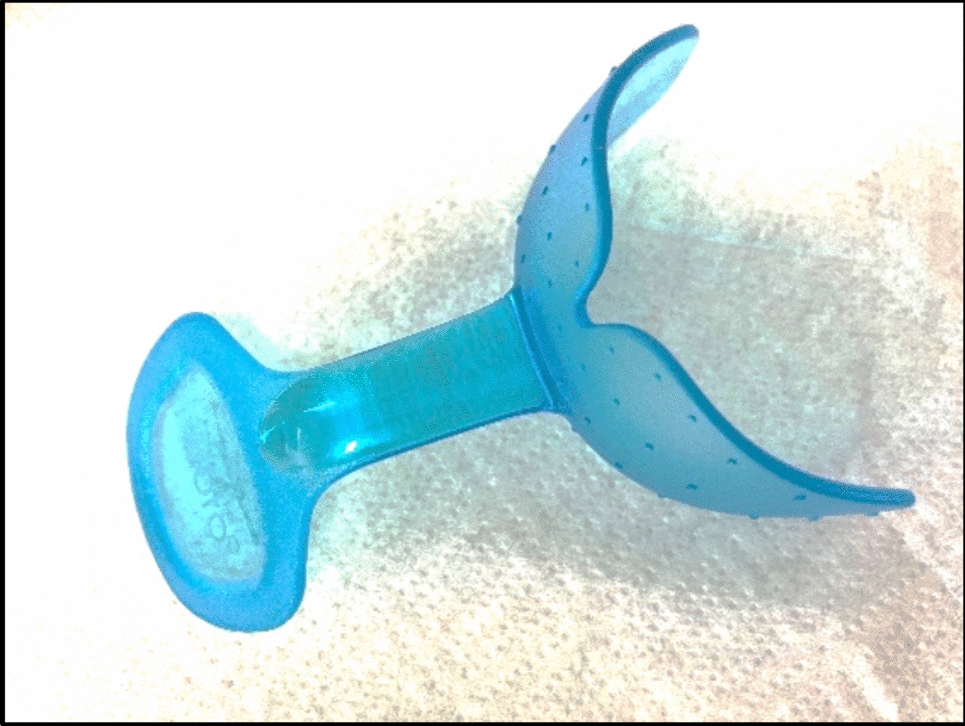 Effect of Oral Neuromuscular Training on Tracheostomy Decannulation and Swallowing Function in Patients with Severe Acquired Brain Injury: A Pilot Randomized Controlled Trial