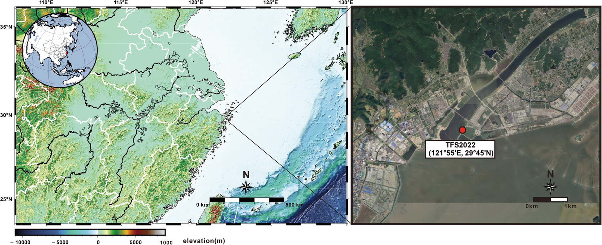Taxonomic, genomic, and ecological insights into a novel Flavobacteriaceae strain from coastal tidal flats