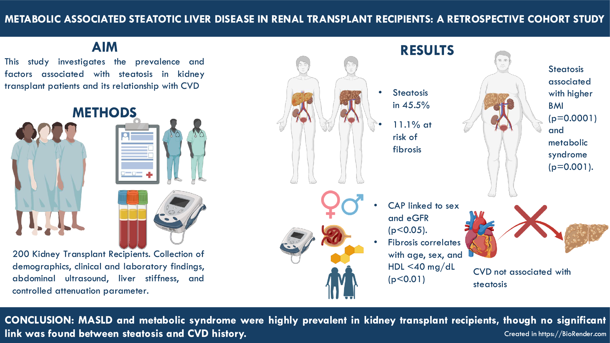 Metabolic associated steatotic liver disease in renal transplant recipients: a retrospective cohort study