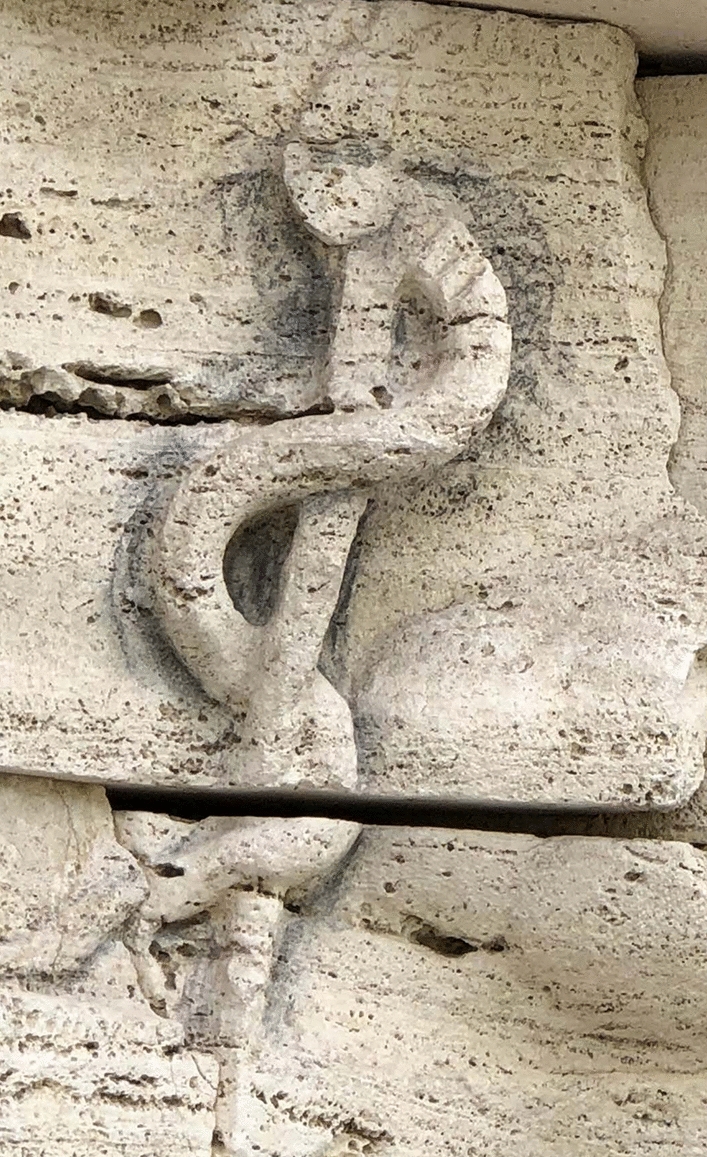 The healing staff: one snake or a pair? The historical roots of medical emblems