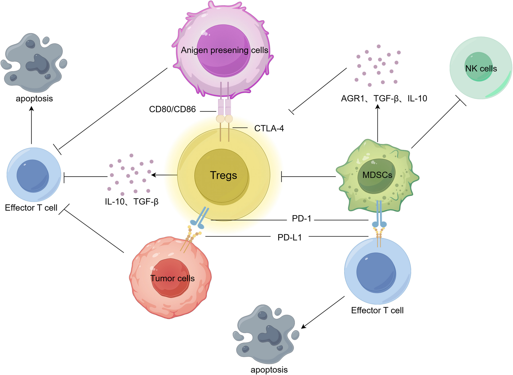 Mechanisms of drug resistance in hepatocellular carcinoma