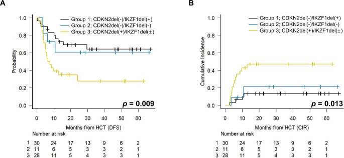 Poor prognostic implication of CDKN2 deletion in adult patients with Philadelphia chromosome-positive ALL