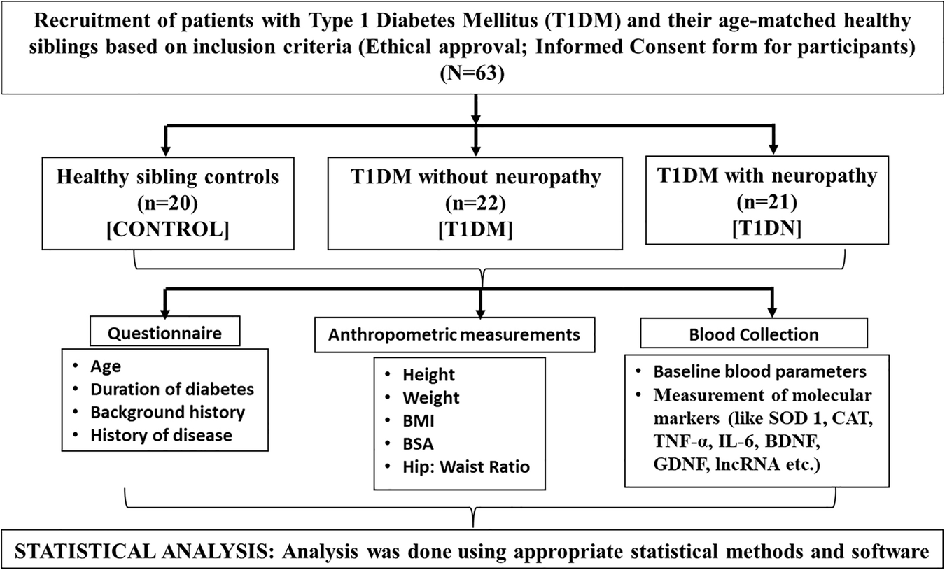 Long noncoding RNAs as predictive markers for the early detection of diabetic neuropathy in type 1 diabetes patients: a cohort study from a government hospital in West Bengal, India