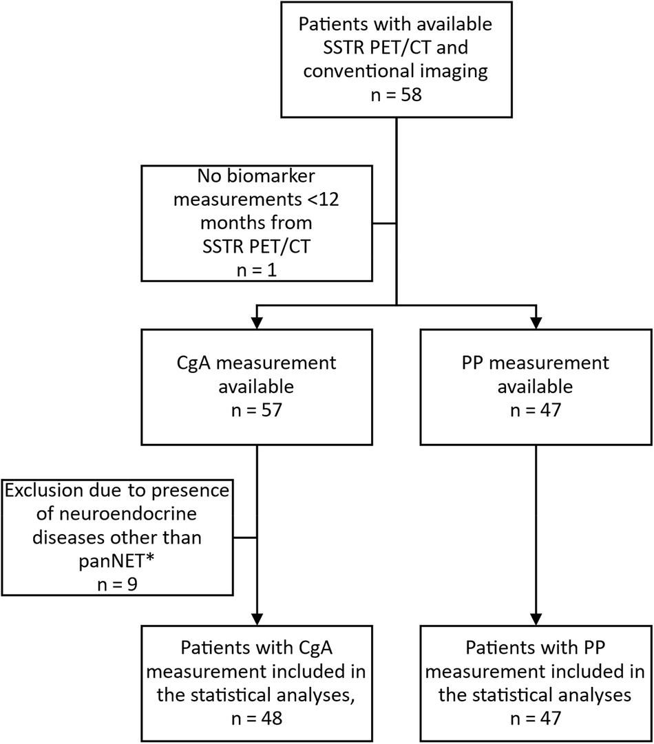 Chromogranin a and pancreatic polypeptide are not suitable for the screening of pancreatic neuroendocrine tumors in MEN1 - a long-term follow-up study