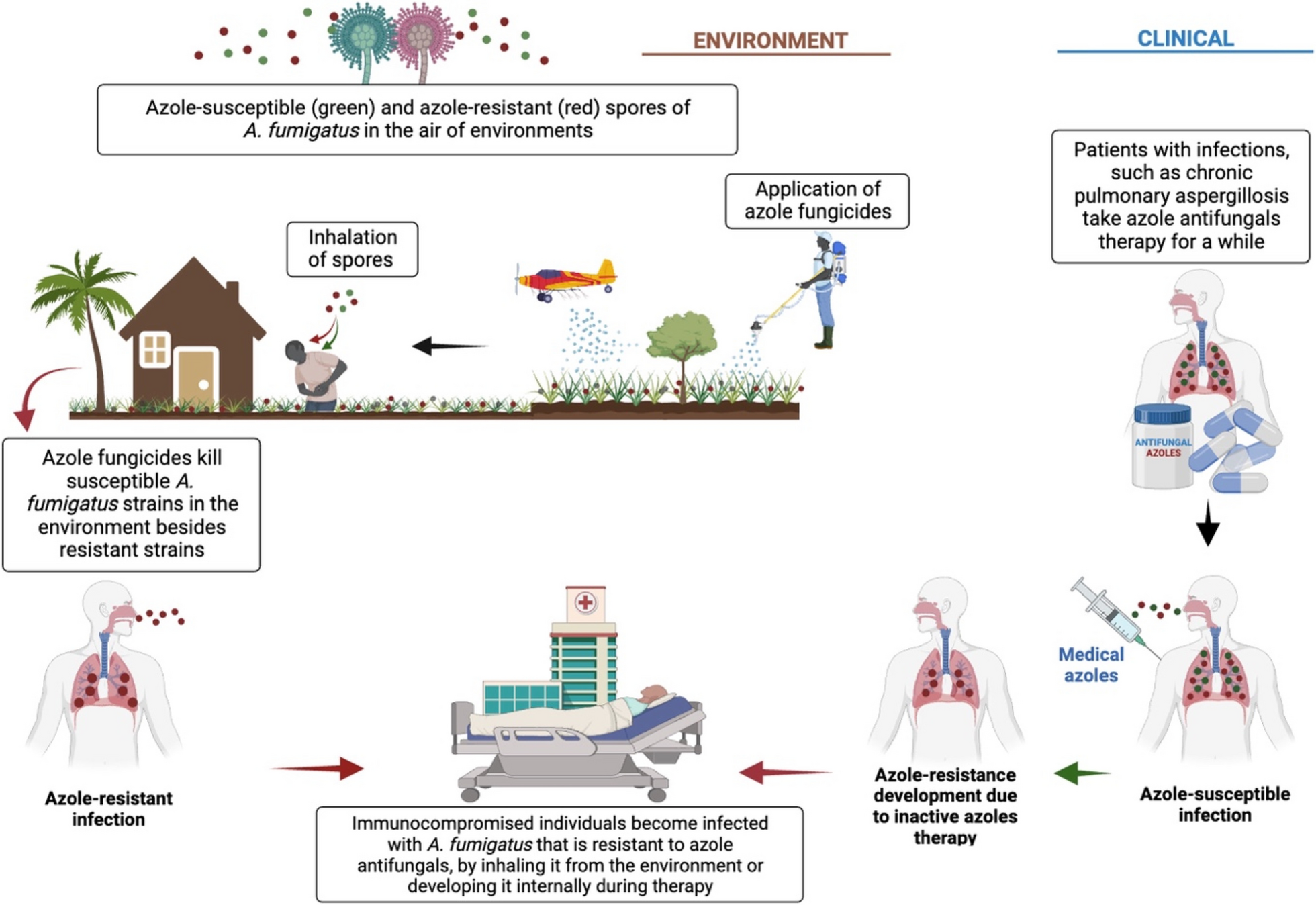 Recent Advances and Future Perspectives in Mitigating Invasive Antifungal-Resistant Pathogen  in Africa