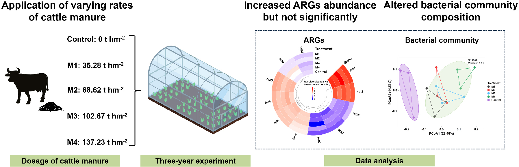 Three-year cattle manure application does not induce the proliferation of antibiotic resistance genes in vegetable soil