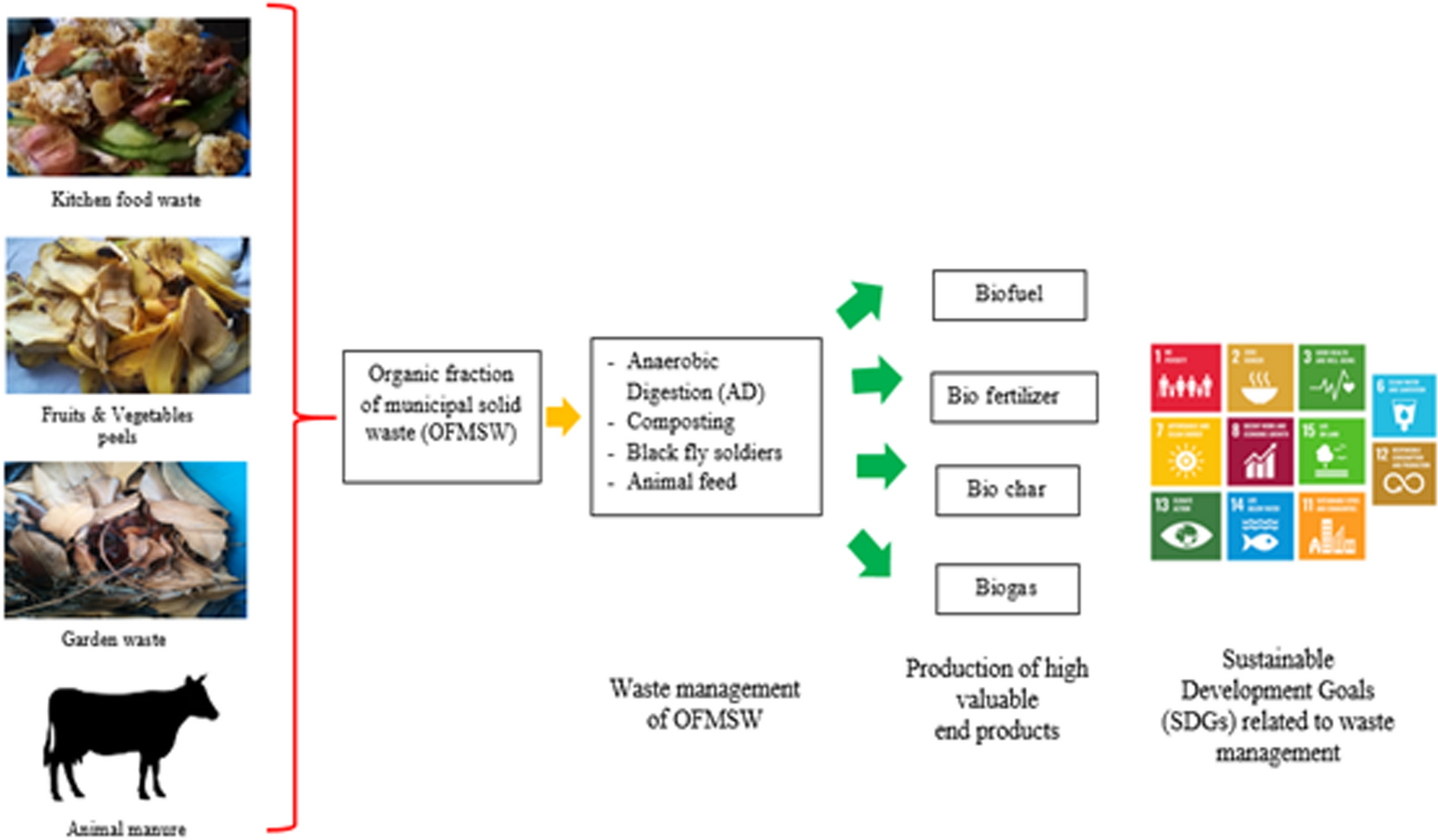 Recent advancements in the treatments of the organic fraction of municipal solid waste towards circular economy