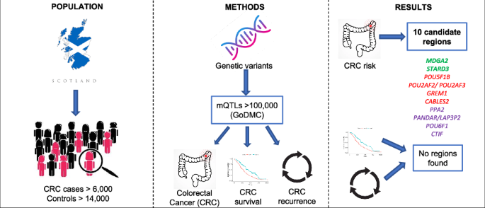 Association between methylation quantitative trait loci and colorectal cancer risk, survival and cancer recurrence