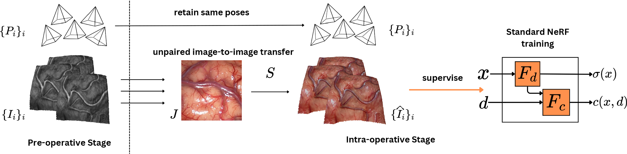 Surgical neural radiance fields from one image