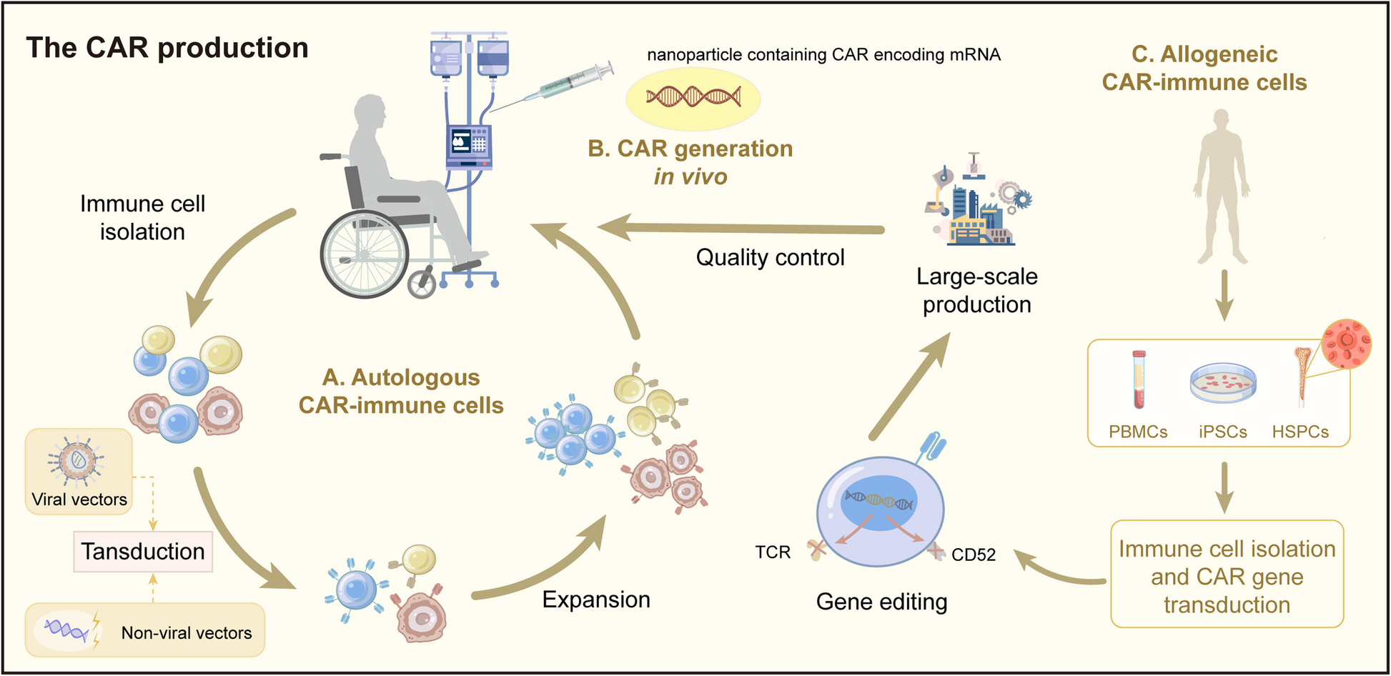 Insights into next-generation immunotherapy designs and tools: molecular mechanisms and therapeutic prospects