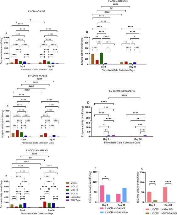 Assessment of different promoters in lentiviral vectors for expression of the N-acetyl-galactosamine-6-sulfate sulfatase gene