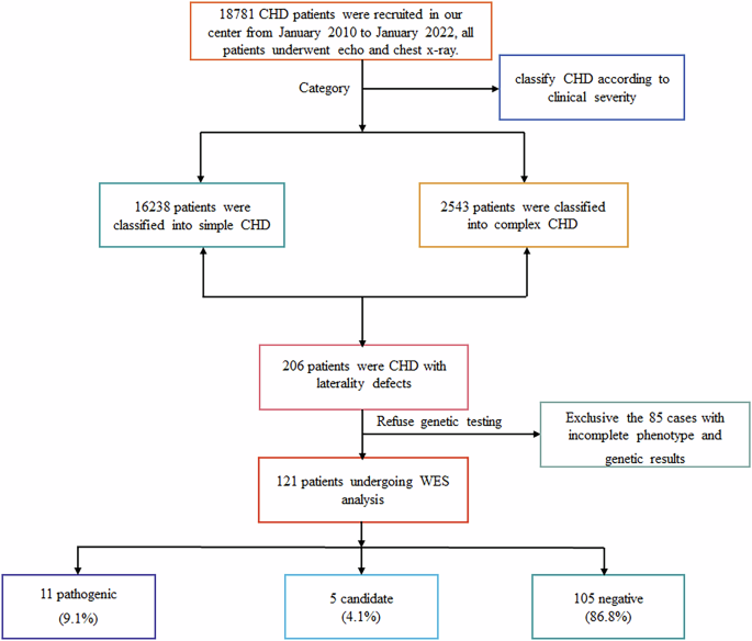 The prevalence of laterality defects in patients with congenital heart disease