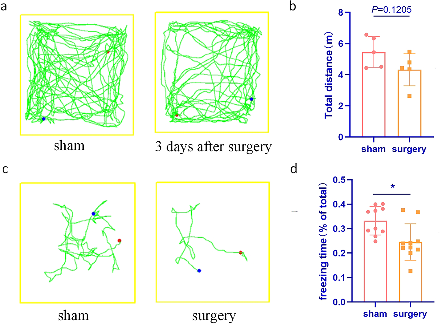 Caveolin-1–Mediated Blood-Brain Barrier Disruption via MMP2/9 Contributes to Postoperative Cognitive Dysfunction