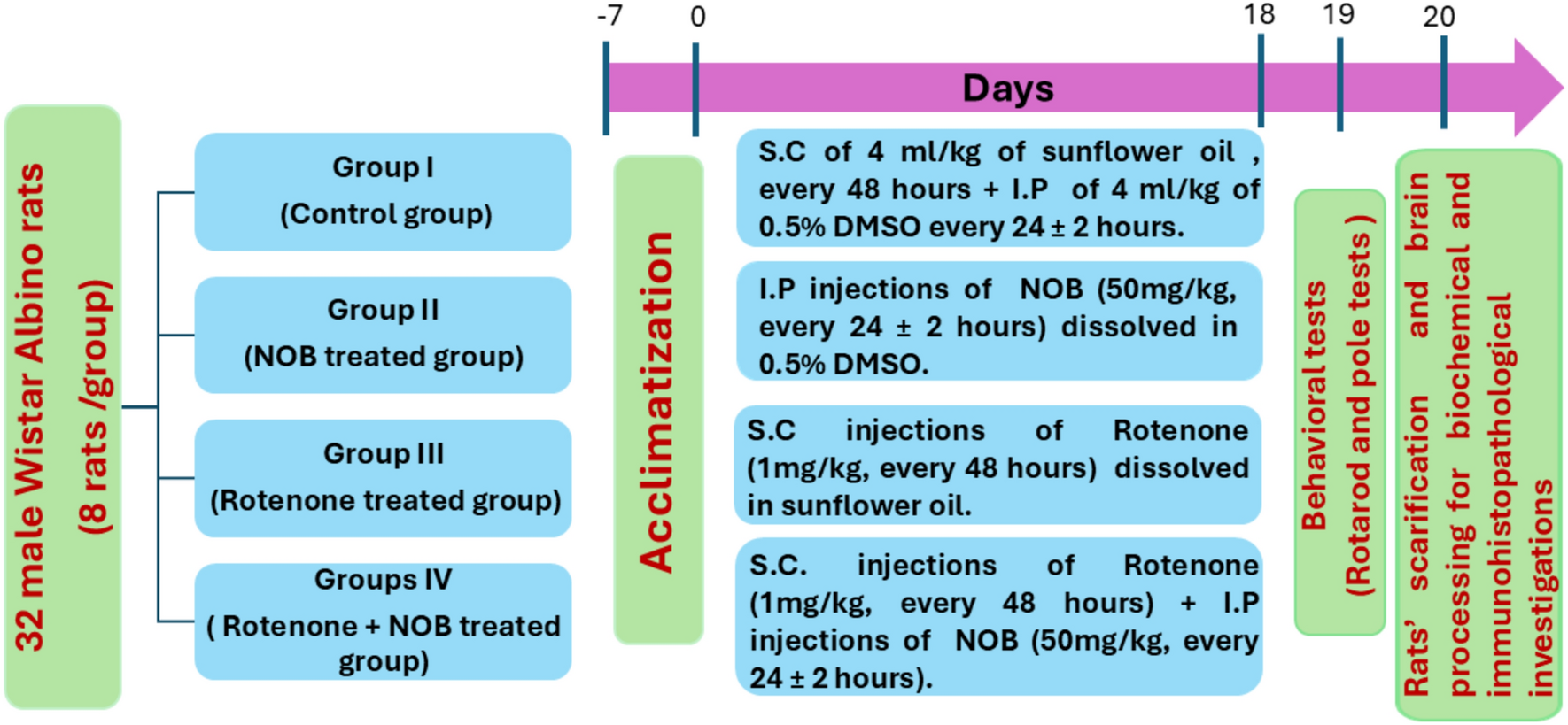 Possible Mitigating Effect of Nobiletin on Rotenone–Induced Parkinsonism in Male Albino Rat Model: Targeting Bmal1/Nrf2 Mediated Ferroptosis and Restoring Mitochondrial Mitophagy