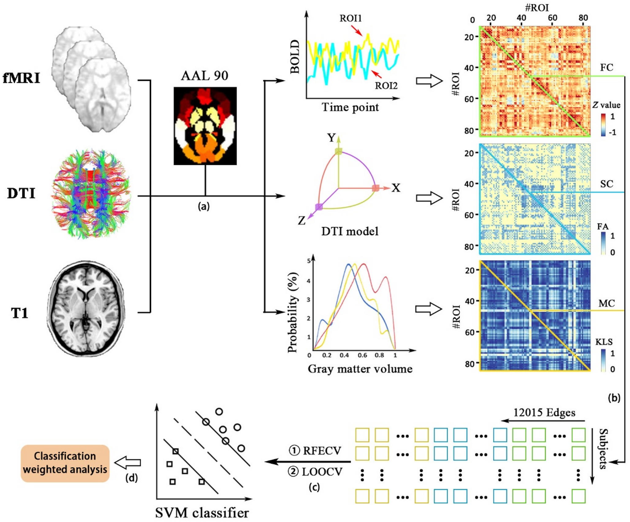 Combining functional, structural, and morphological networks for multimodal classification of developing autistic brains