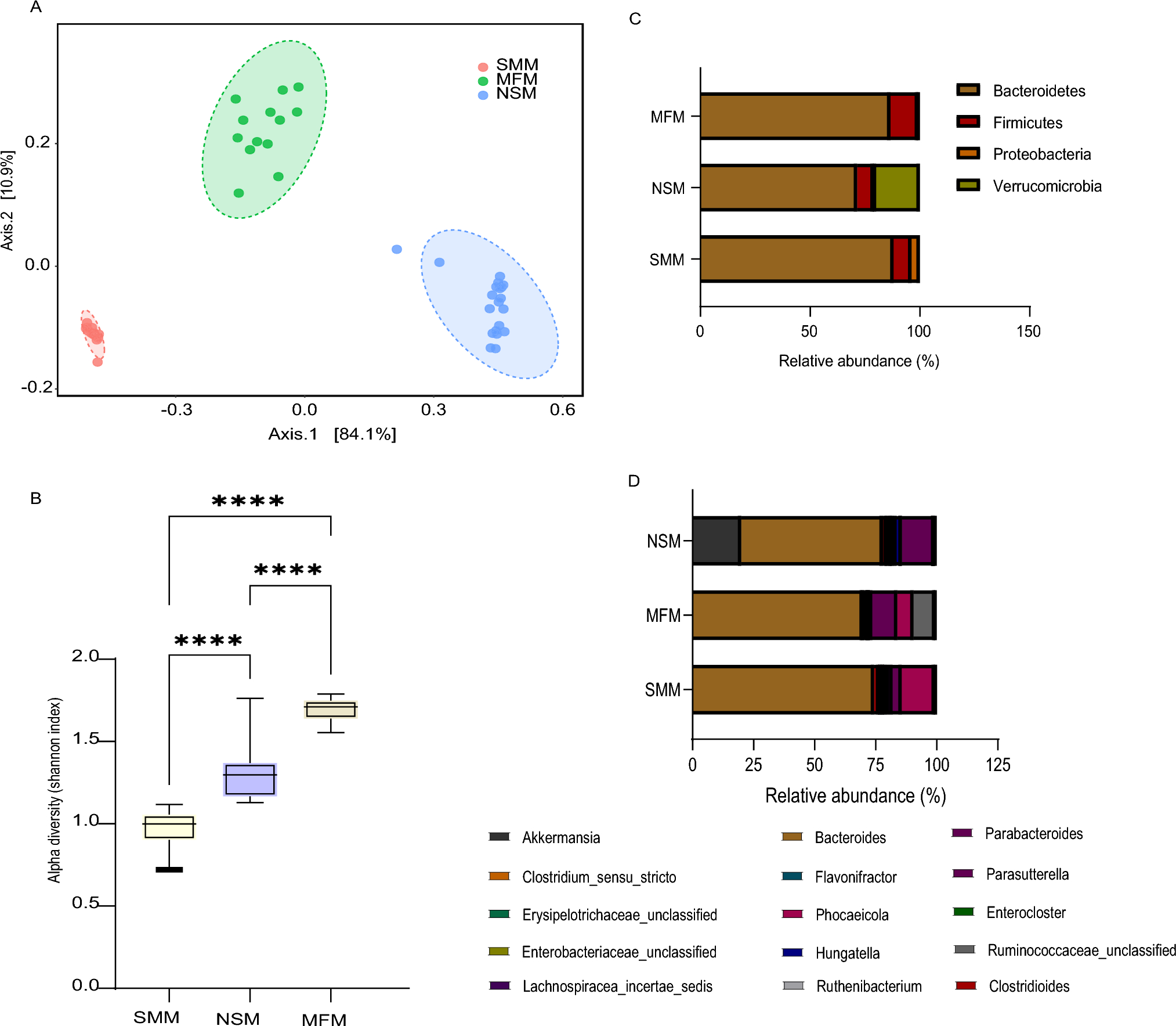 Microbes Matter: Exploring the Connection Between Infant Gut Microbiota and Bone Development