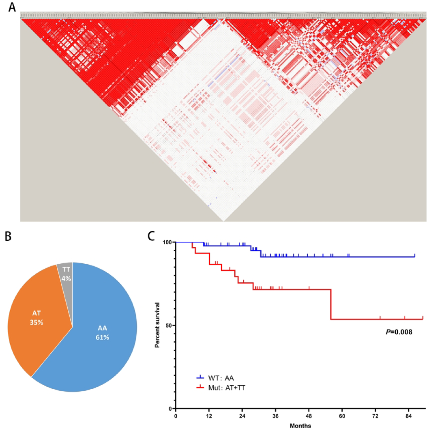 genetic polymorphisms as a candidate prognosis biomarker of Gastrointestinal stromal tumor