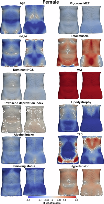 Changes in abdominal subcutaneous adipose tissue thickness associate with disease and anthropometric factors