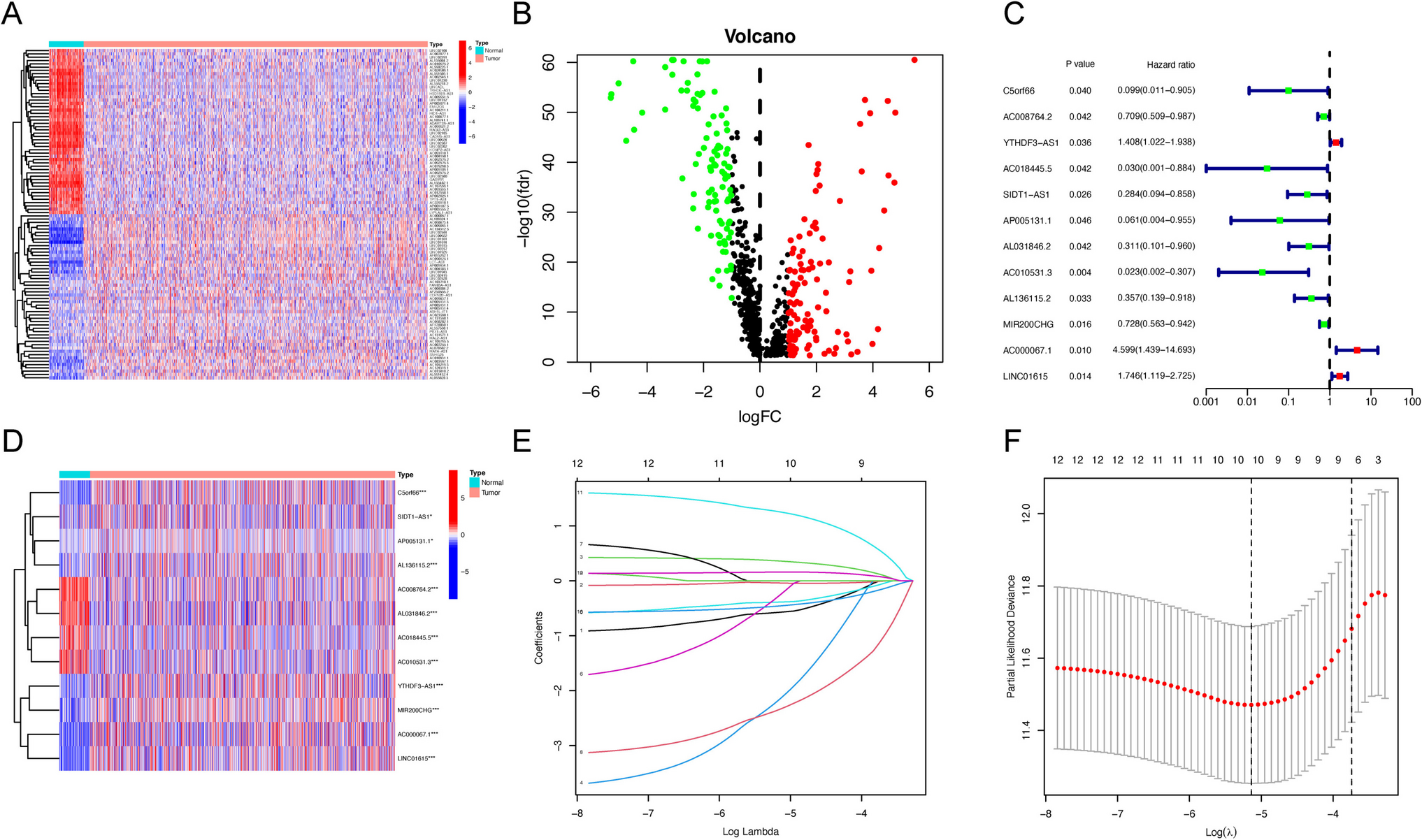 Identification of a migracytosis and angiogenesis-associated lncRNAs signature in immunotherapy in breast cancer