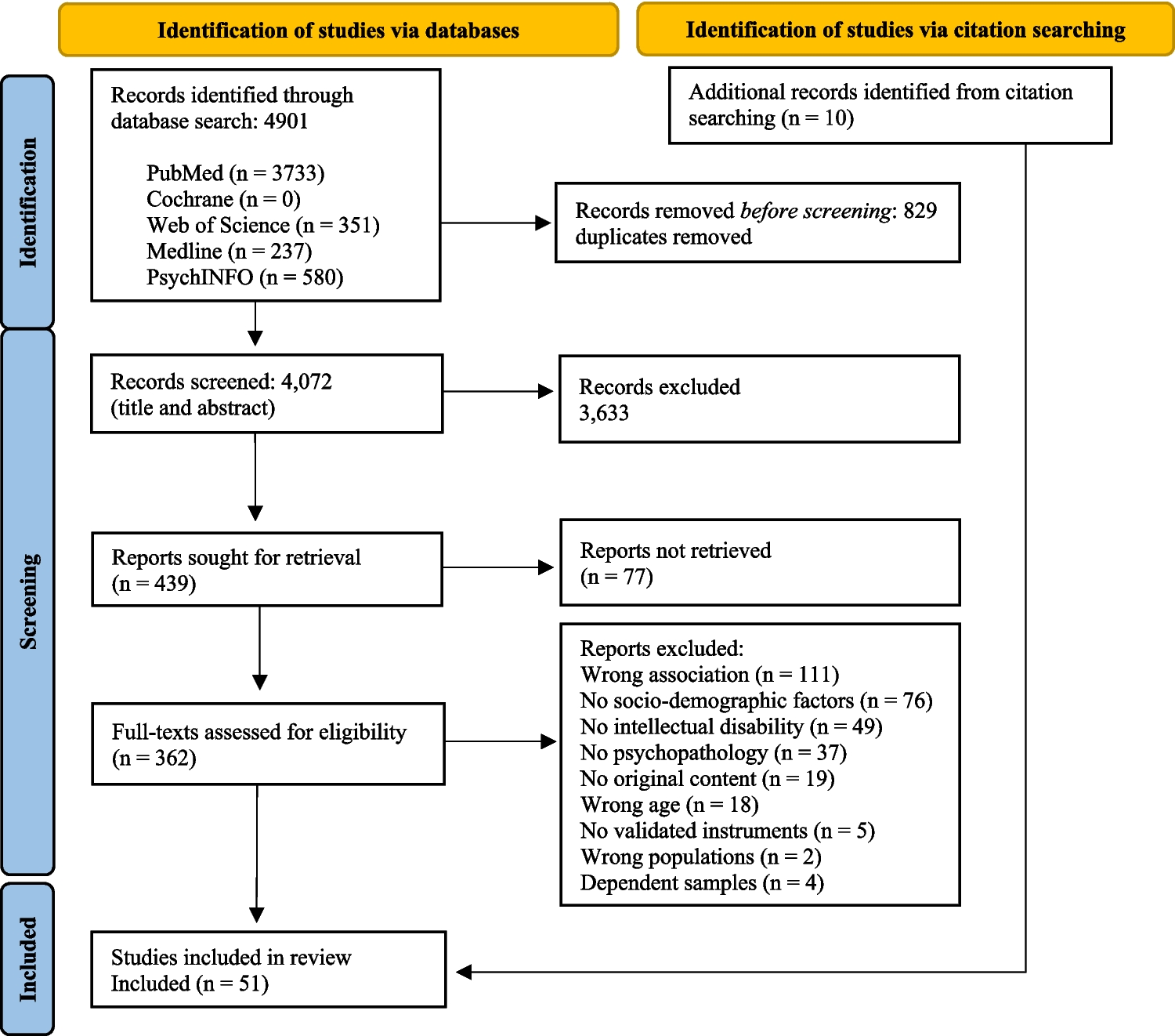 Social determinants associated with mental health problems in youth with intellectual disability: a systematic literature review