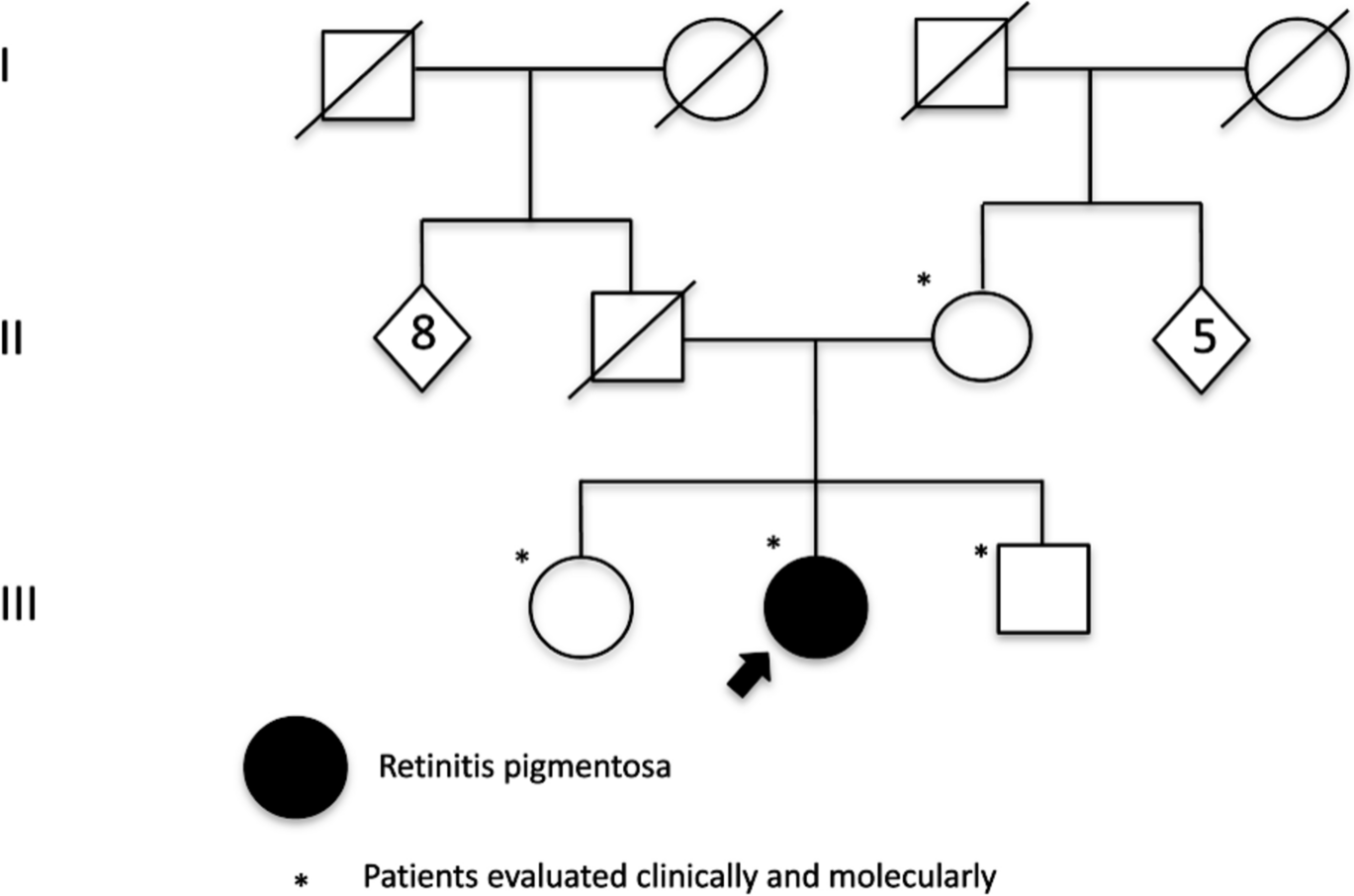 von Willebrand factor A domain containing 8 ()- associated retinitis pigmentosa: description of a novel case and expansion of the phenotype