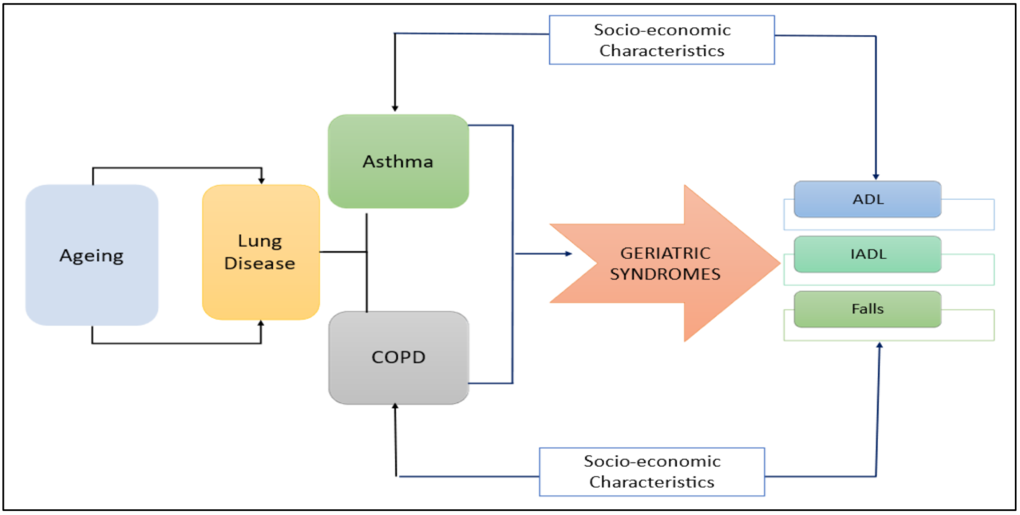 Chronic lung diseases (Asthma and COPD) among middle-aged and older populations in India: social, individual, and household determinants and their associations with geriatric syndromes