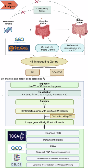 Integrated multidimensional bioinformatics analysis of the molecular mechanisms of ulcerative colitis-associated colorectal cancer and MMP1 as a potential therapeutic target