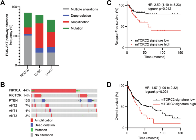 Targeting mTORC2 in lung squamous cell carcinoma improves anti-tumor immunity through the PSGL-1-VISTA axis