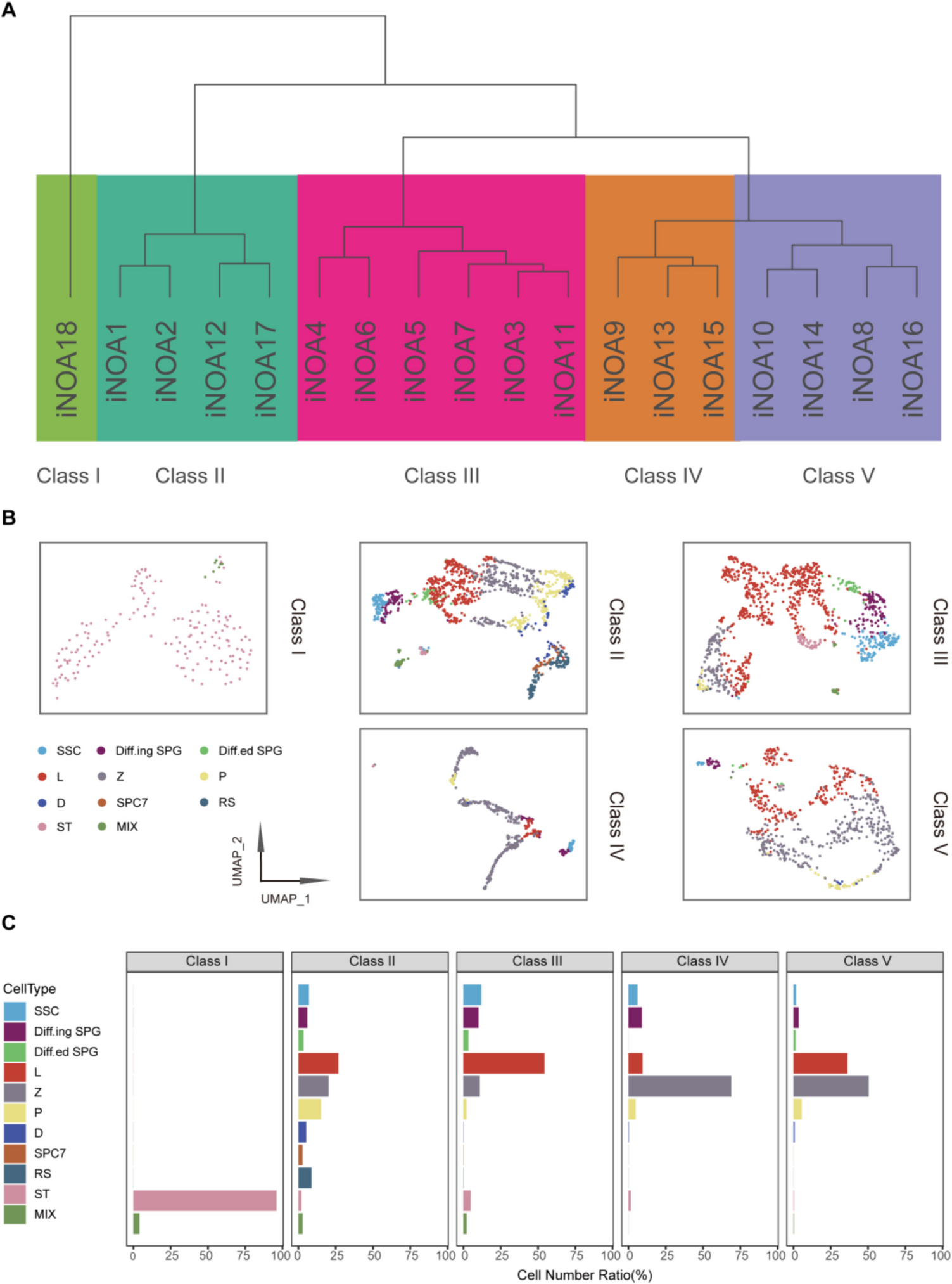Expression of marker genes to assess the spermatogenic capacity in patients with idiopathic non-obstructive azoospermia