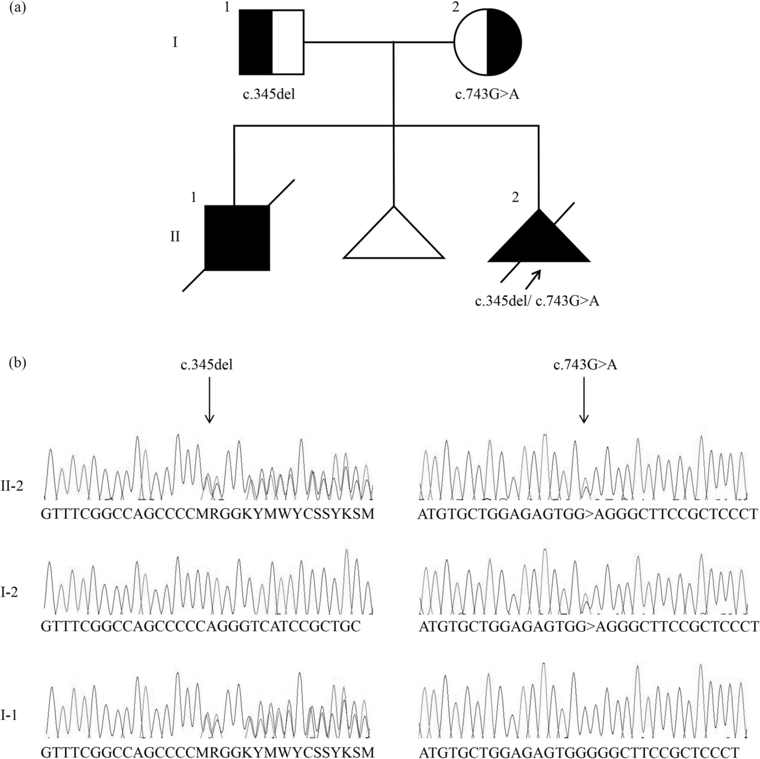 Successful pre-implantation genetic testing for autosomal recessive cutis laxa: clinical utility of a multidisciplinary team approach