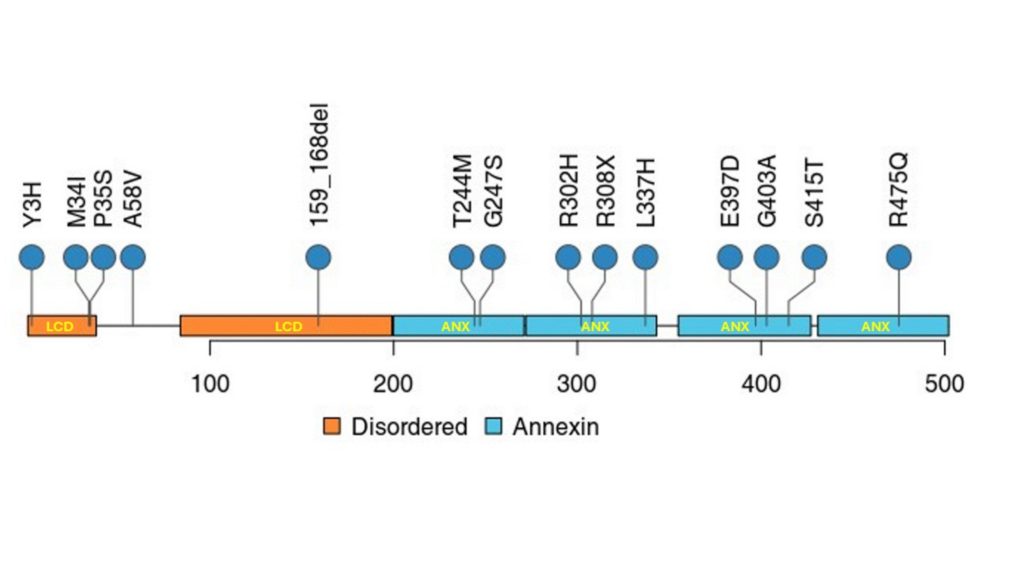 Exploring the phenotypic fingerprints of  variants in ALS: a population-based study in an European cohort