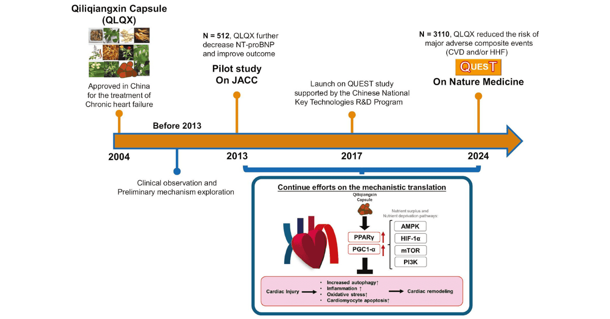 Current Understanding and Evidence Regarding Qiliqiangxin (QLQX) in Heart Failure Treatment: From Basic to Clinical Research