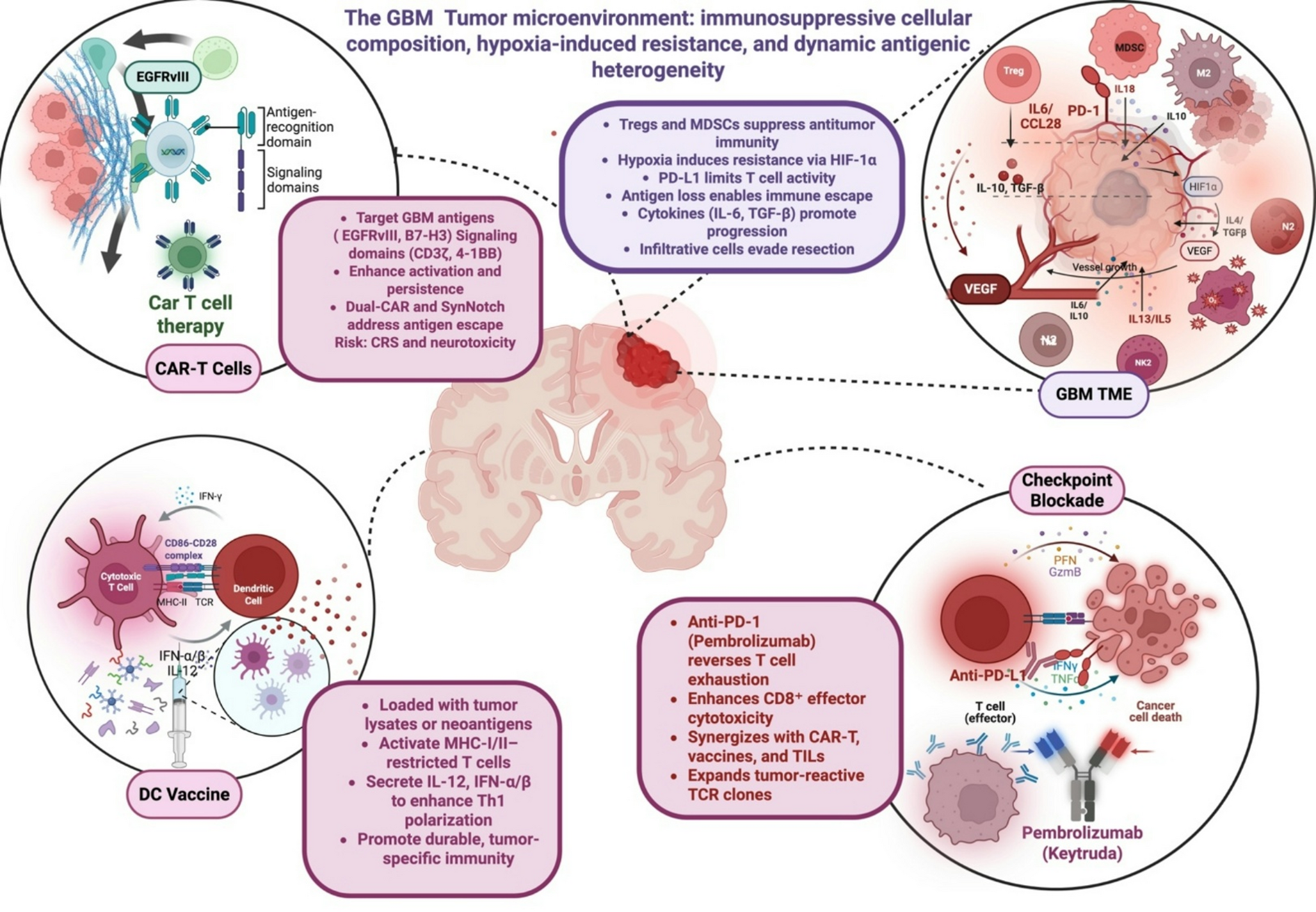Emerging trends in cell-based therapies: contemporary advances and ethical considerations in translational neurosurgical oncology