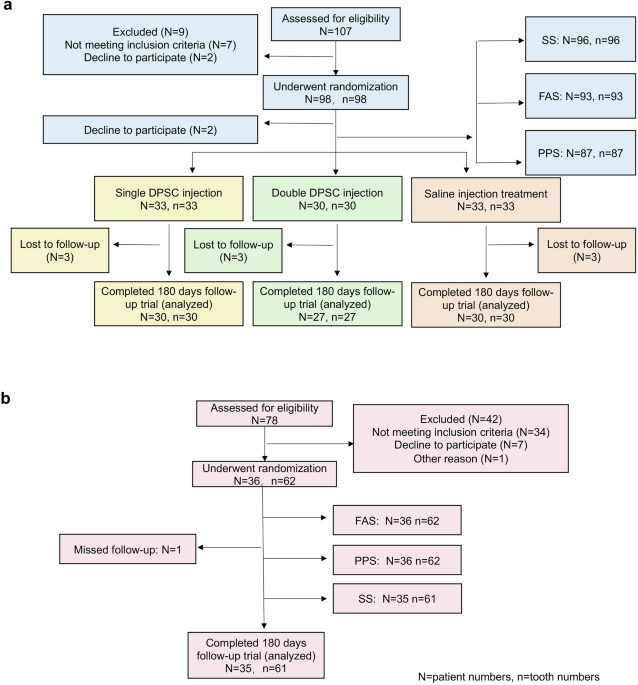 Impact of allogeneic dental pulp stem cell injection on tissue regeneration in periodontitis: a multicenter randomized clinical trial