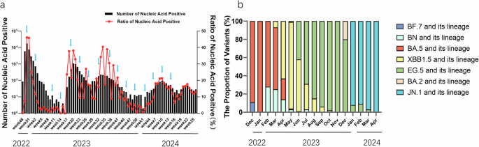 Dynamics of neutralizing antibodies against COVID-19 Omicron subvariants following breakthrough infection in southwest China between December 2022 and April 2024