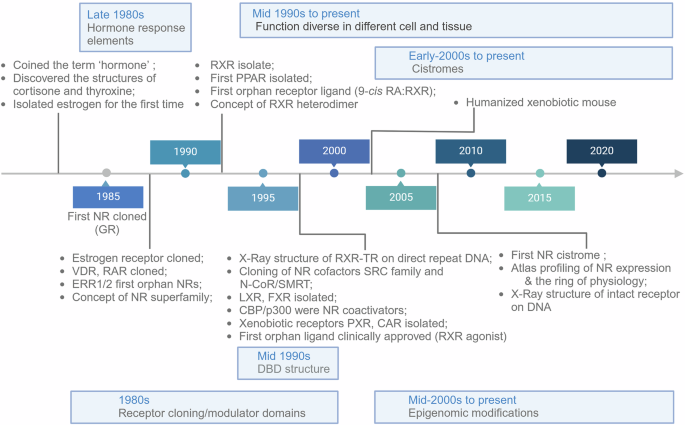 Nuclear receptors in health and disease: signaling pathways, biological functions and pharmaceutical interventions