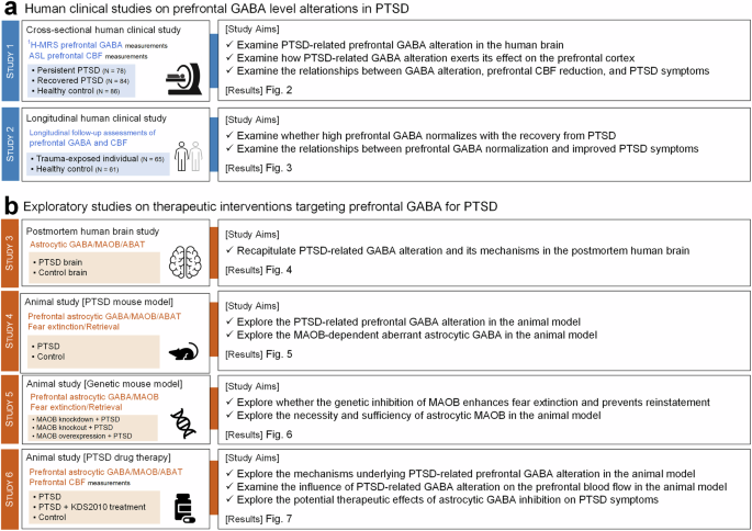 Astrocytic gamma-aminobutyric acid dysregulation as a therapeutic target for posttraumatic stress disorder