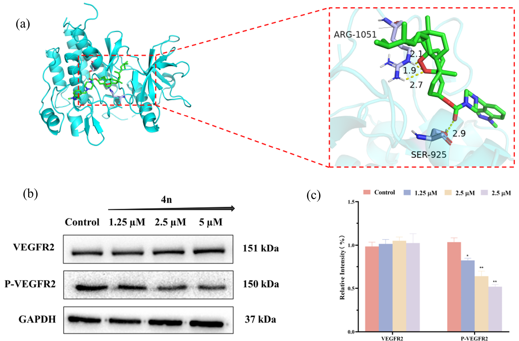 Design, Synthesis, and Antitumor Activity Evaluation of Novel Ergosterol Peroxide-3-indazole Derivatives