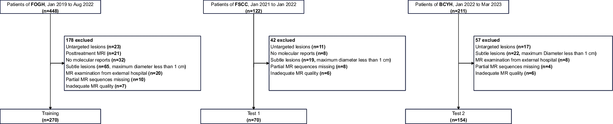 Development and Validation of an Explainable MRI-Based Habitat Radiomics Model for Predicting p53-Abnormal Endometrial Cancer: A Multicentre Feasibility Study